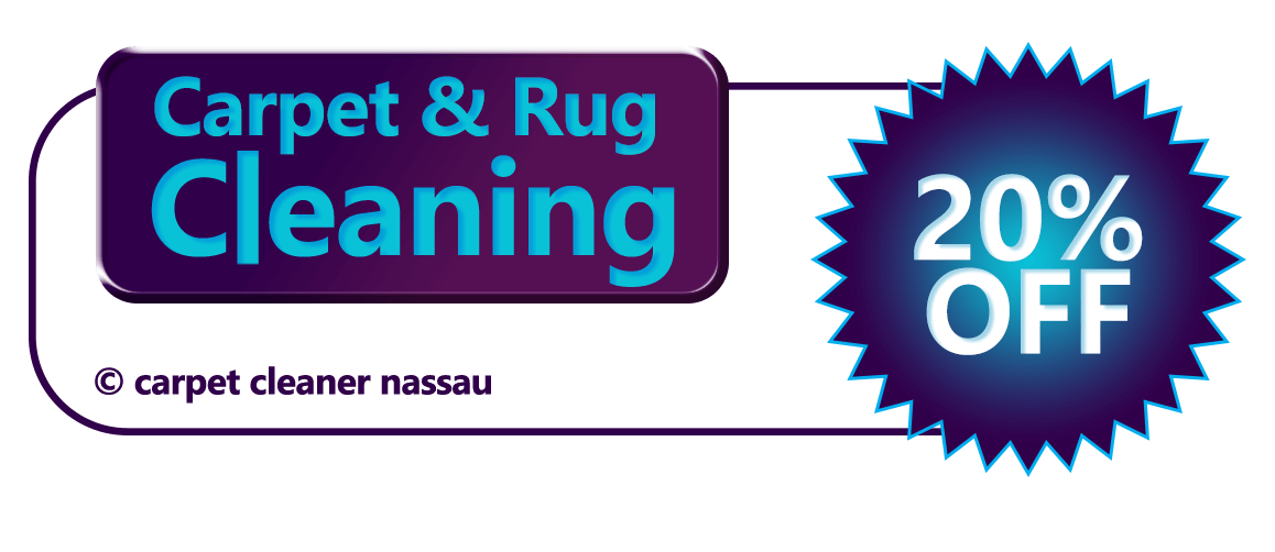 Get 20 percent off with any are rug cleaning