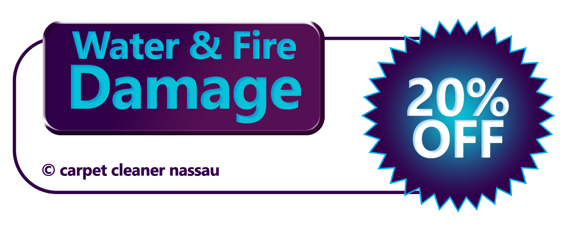 Water and Fire Damage Cleaning
