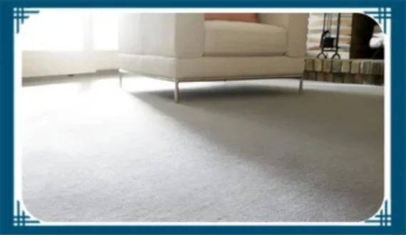What Is The Carpet Cleaning Service Cost In Nassau