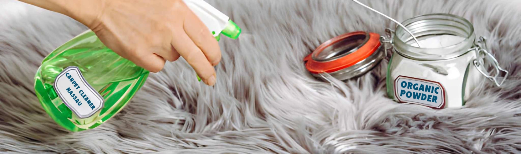 Expert Organic Cleaning Service hero image